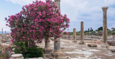 Tyre-Places To Visit In Lebanon