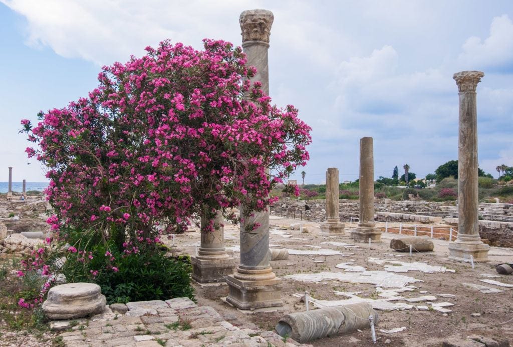 Tyre-Places To Visit In Lebanon
